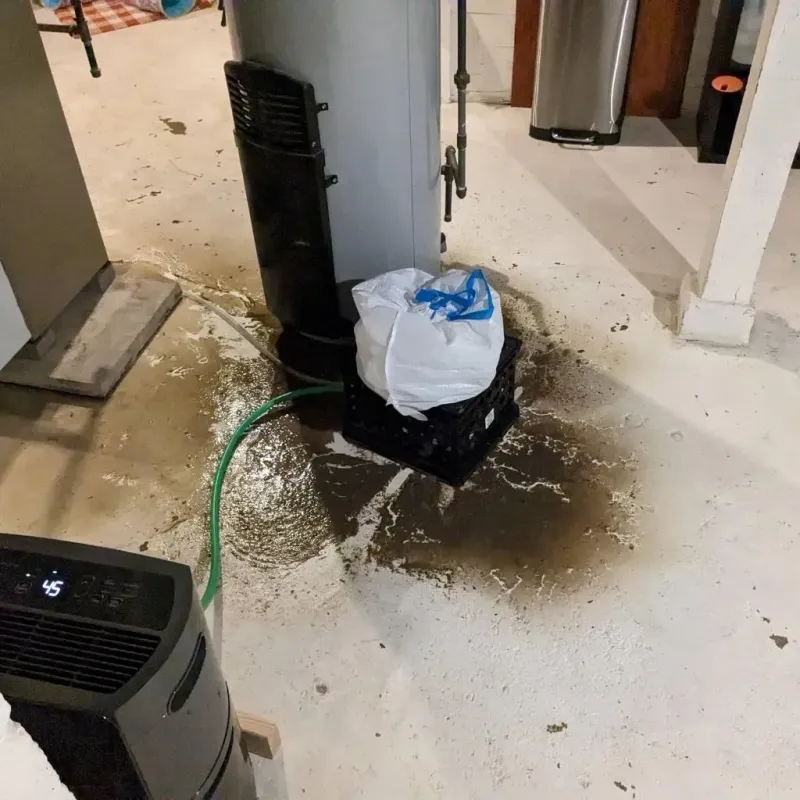 Sewage Backup Cleanup Service in Little River-Academy, TX